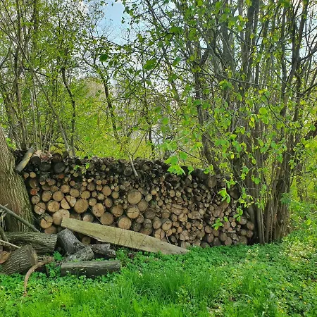 Oleksowiczowka