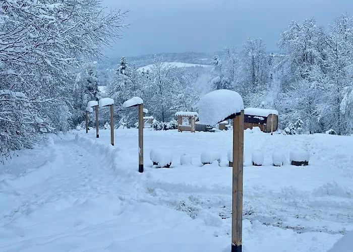 Oleksowiczowka Tatil Evi *