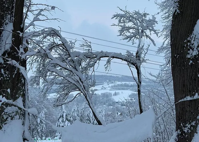 Oleksowiczowka Tatil Evi *